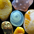 Pieces Sand grains under the microscope microscopic sand photography art photo microscopy artwork